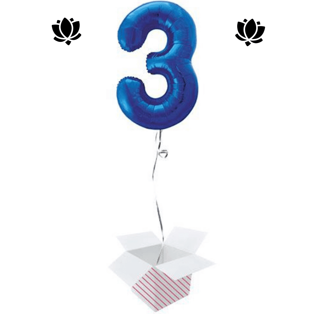 Ballon Box (18) Livraison de ballon à domicile