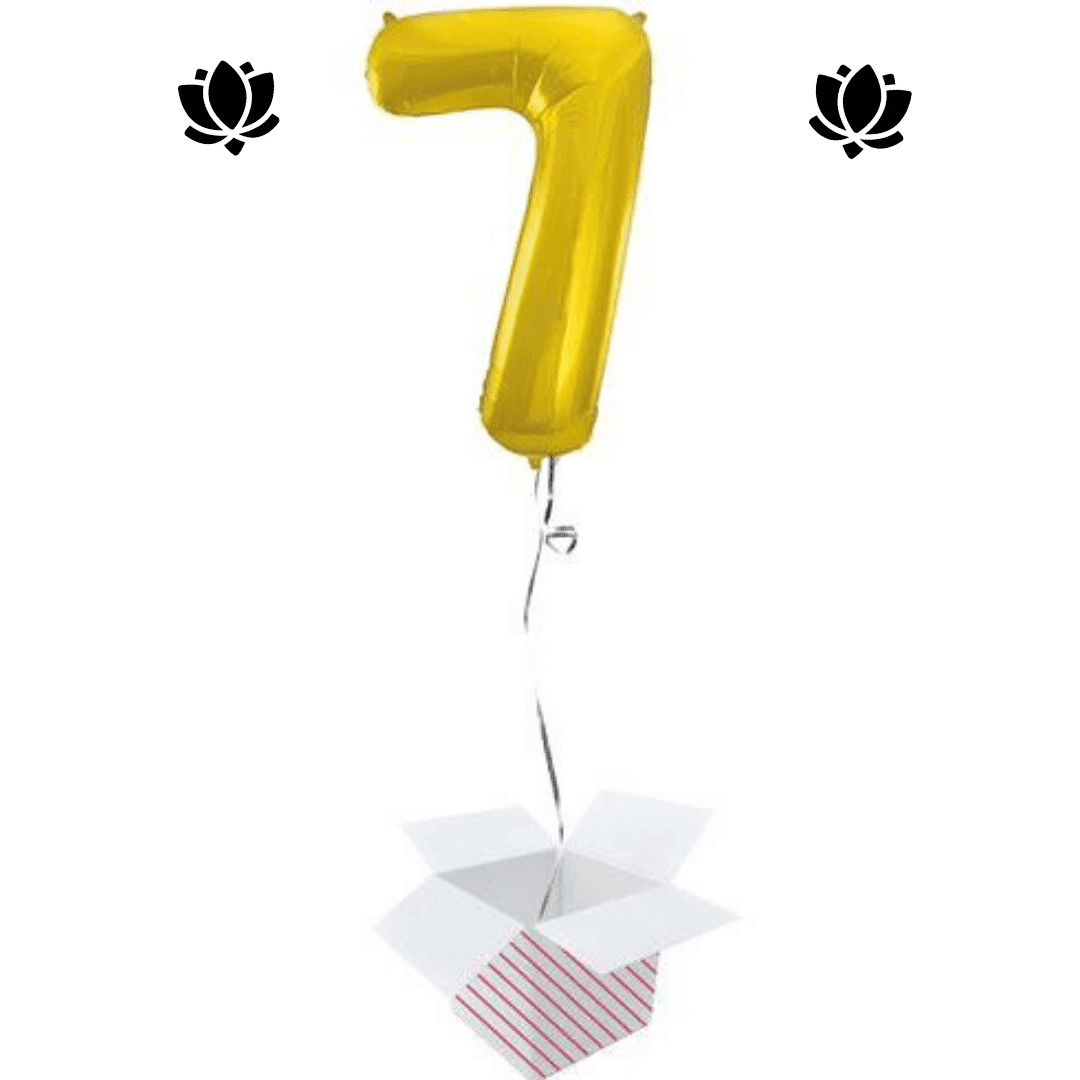 Ballon Box (18) Livraison de ballon à domicile