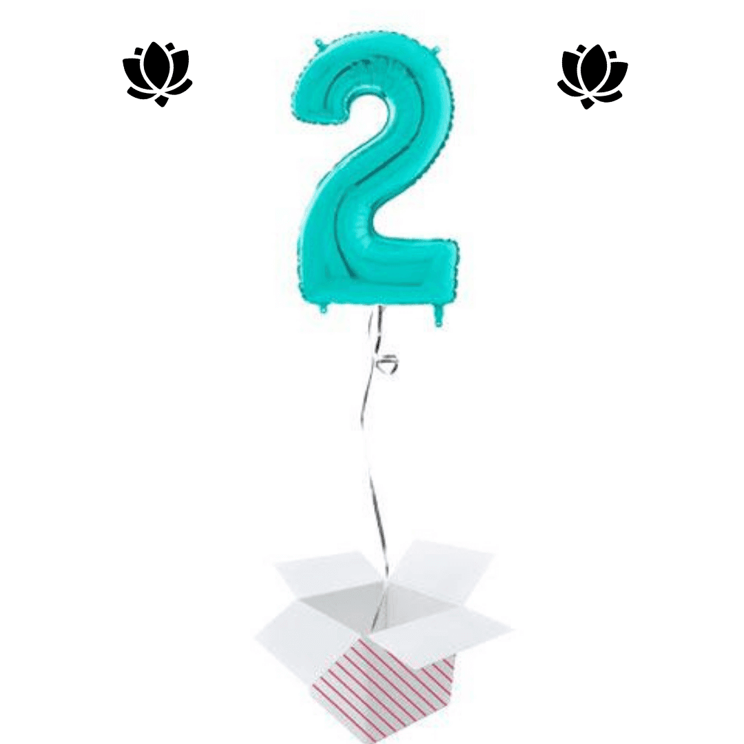 Ballon Box (2) Livraison de ballon à domicile