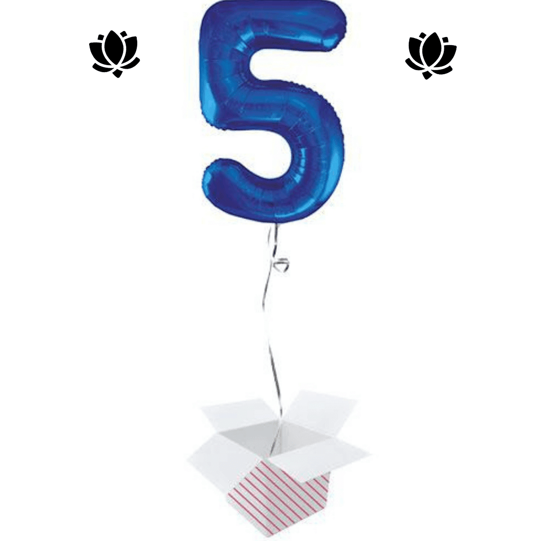 Ballon Box (20) Livraison de ballon à domicile