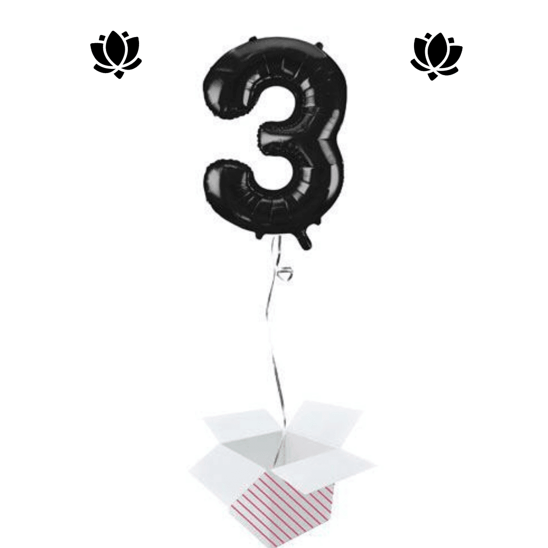 Ballon Box (28) Livraison de ballon à domicile