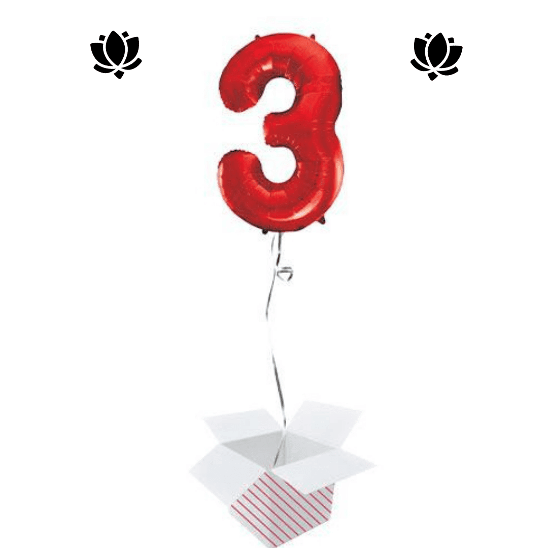 Ballon Box (8) Livraison de ballon à domicile