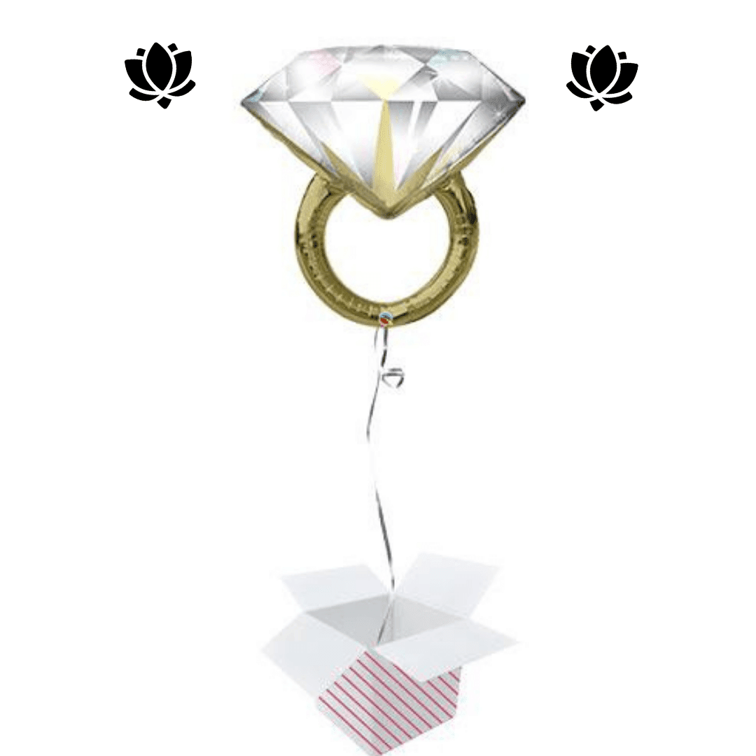 The Ballon Box (11) Livraison de ballon à domicile