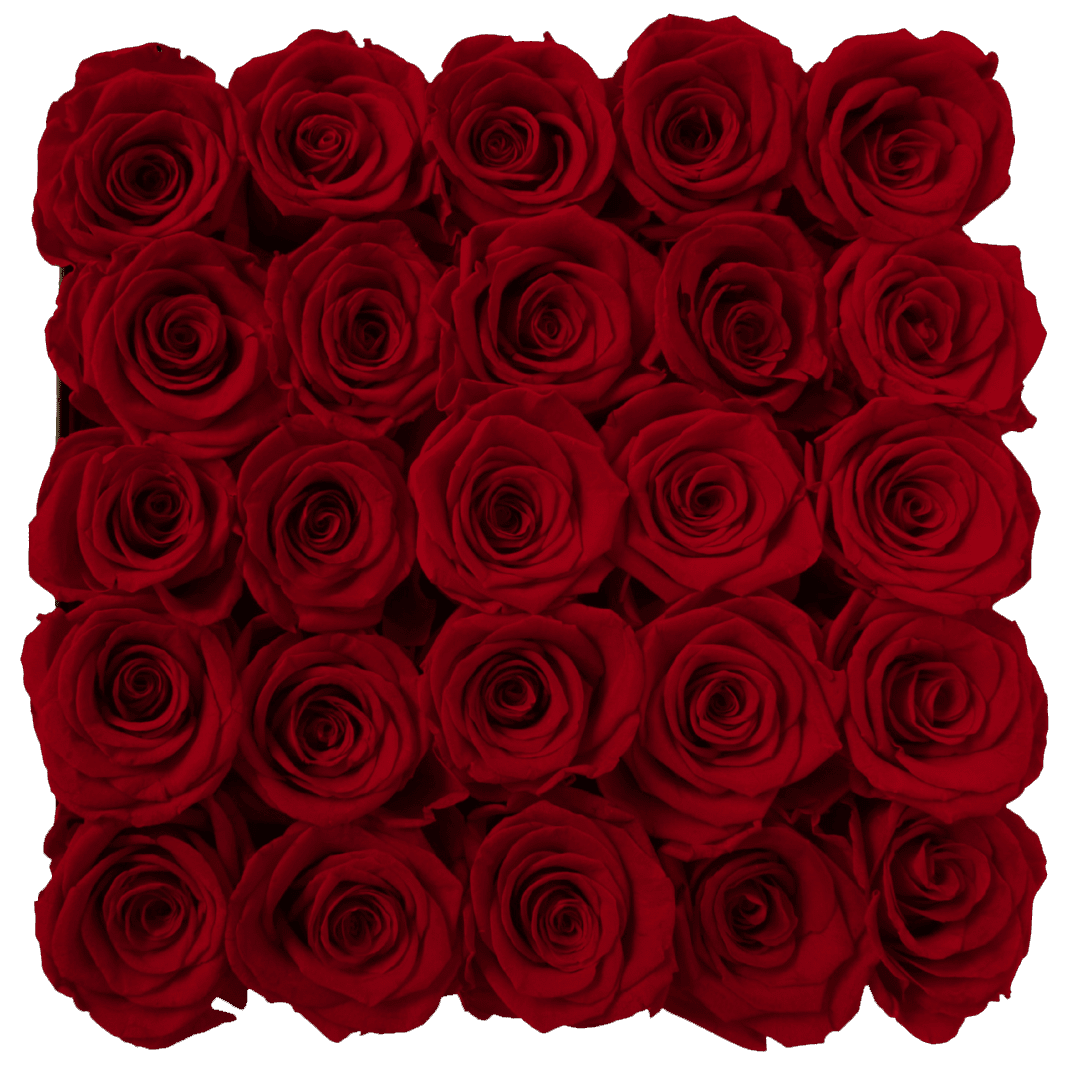 The Square Box (12) Boite de fleurs éternelles carré