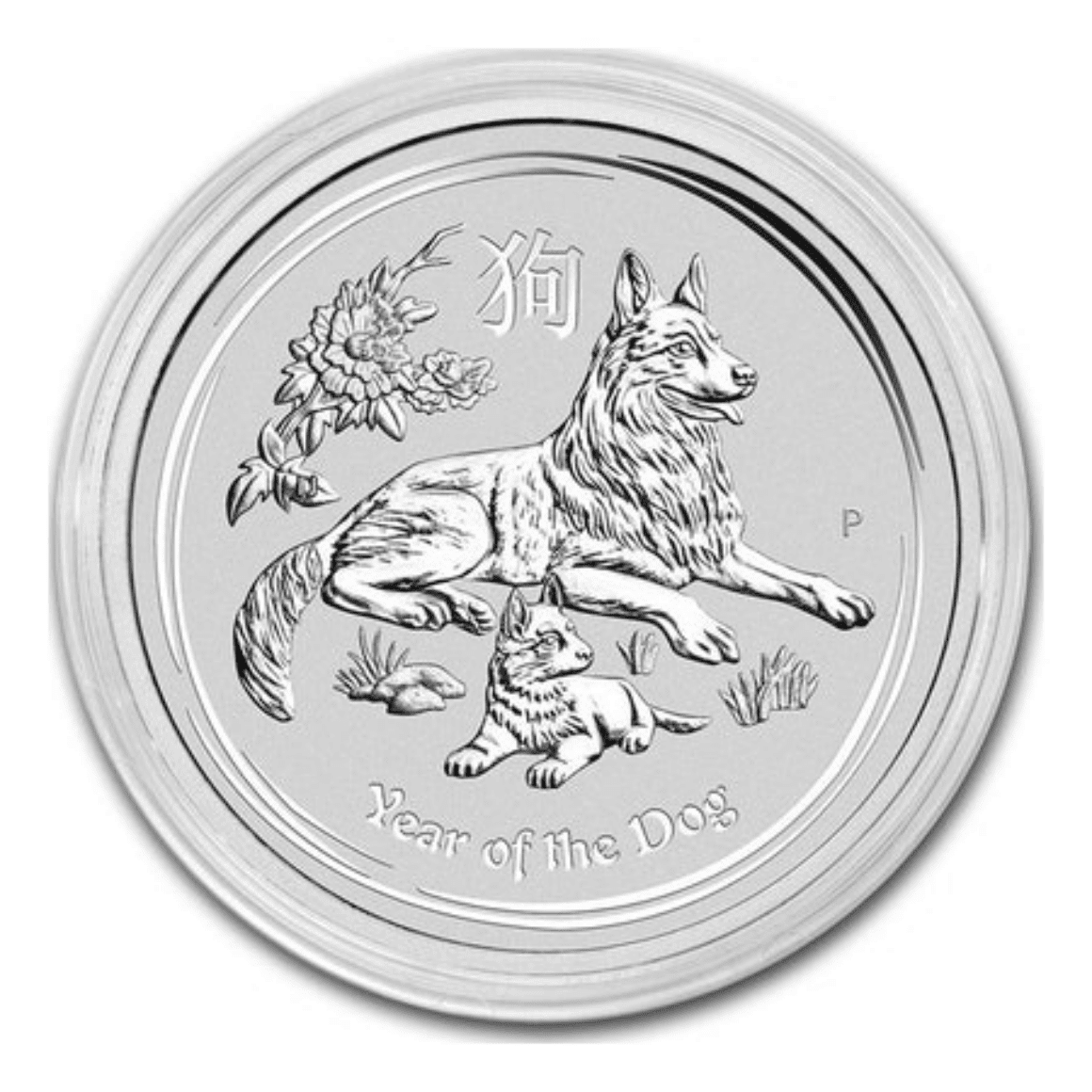 The Money Box (15) Piece en argent de collection