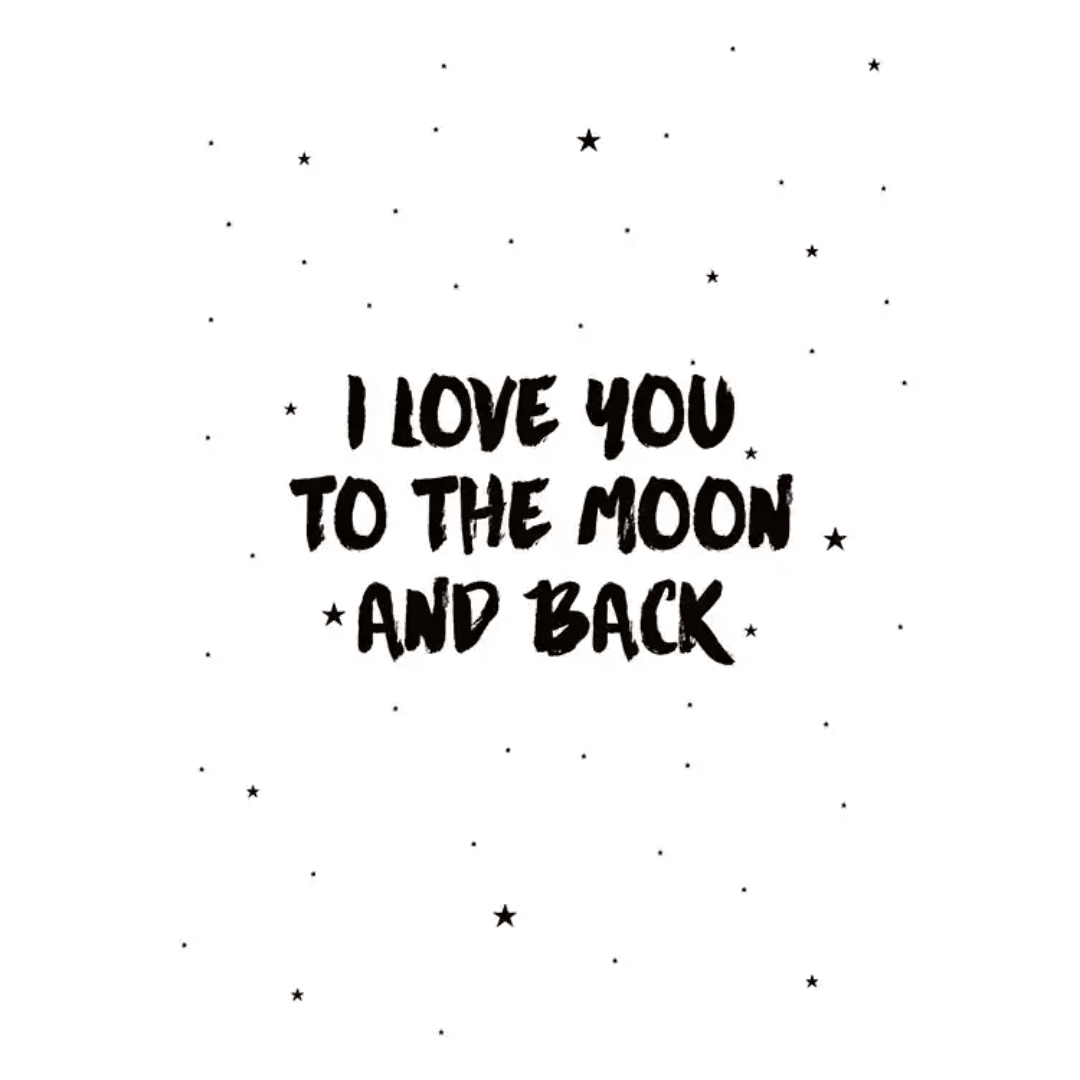 Animals Posters Box (10) Animals Posters Box 10 | The Luxury Box