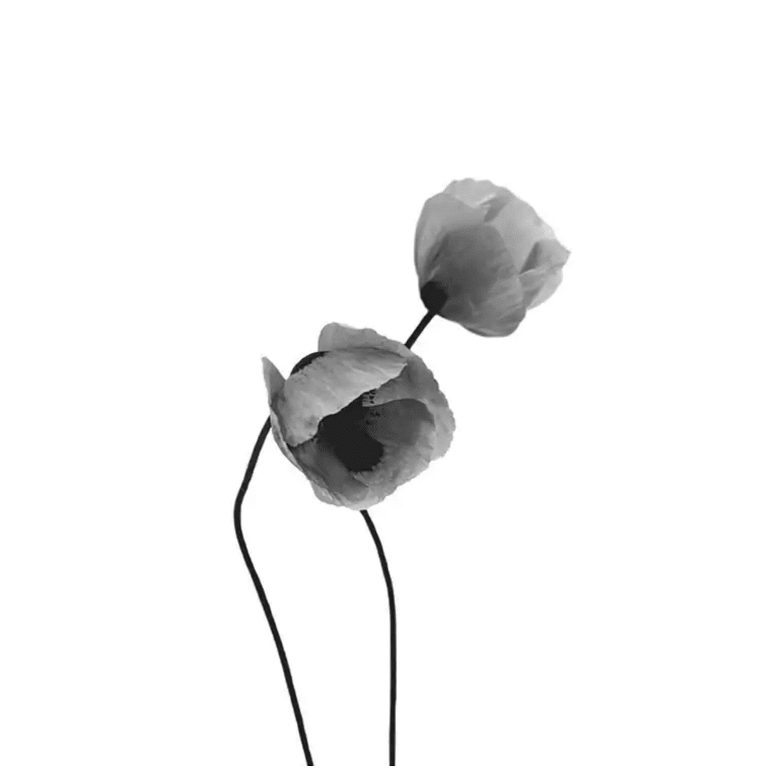 B&W Posters Box (18) BW Posters Box 18 | The Luxury Box