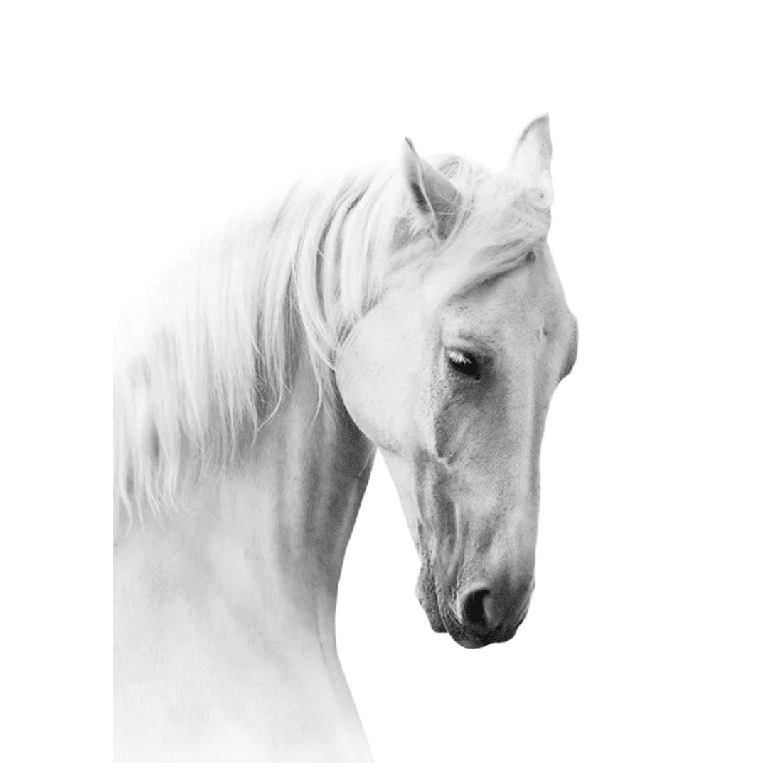 B&W Posters Box (24) BW Posters Box 24 | The Luxury Box