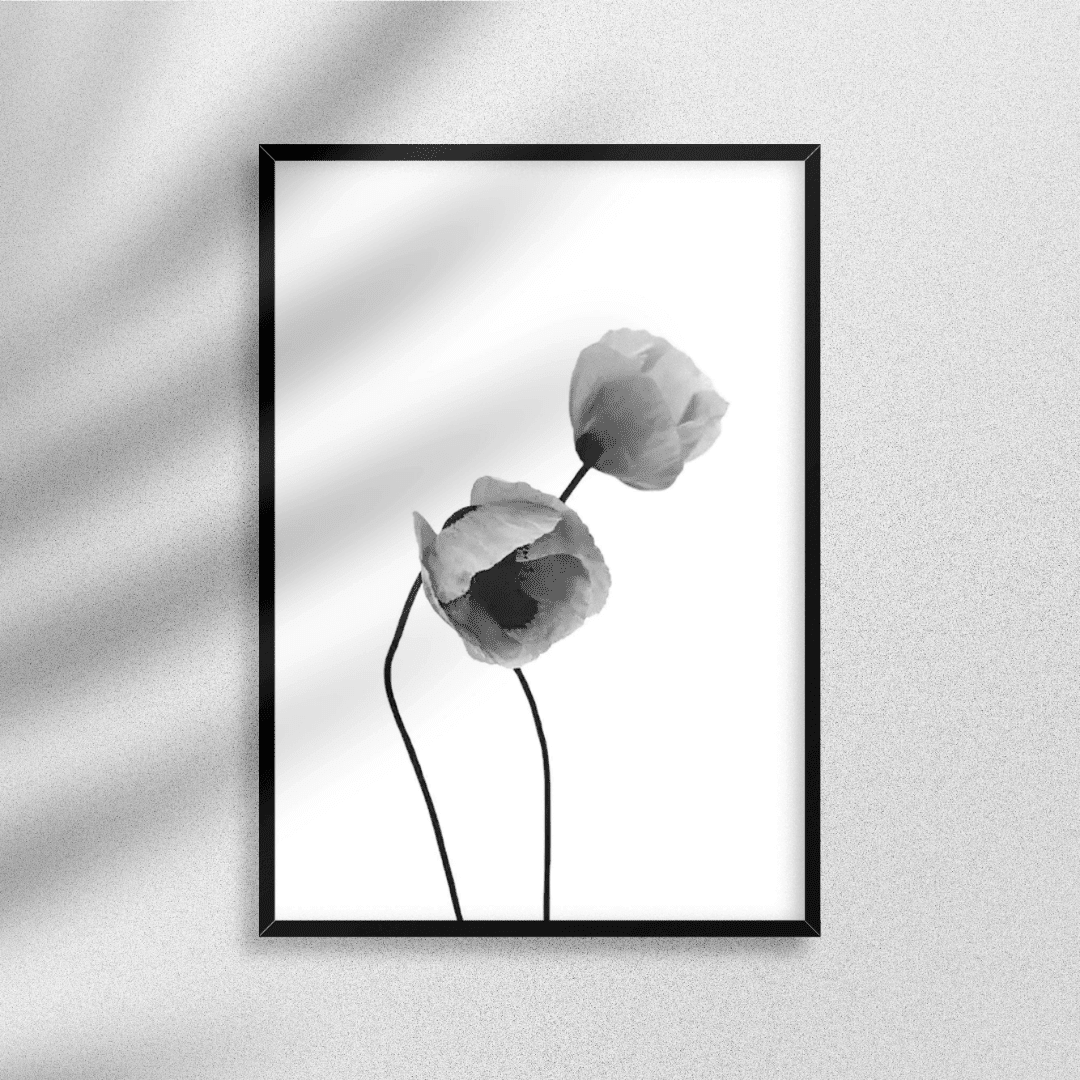 B&W Posters Box (39) BW Posters Box 39 | The Luxury Box