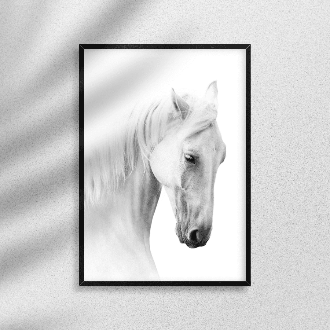 B&W Posters Box (57) BW Posters Box 57 | The Luxury Box