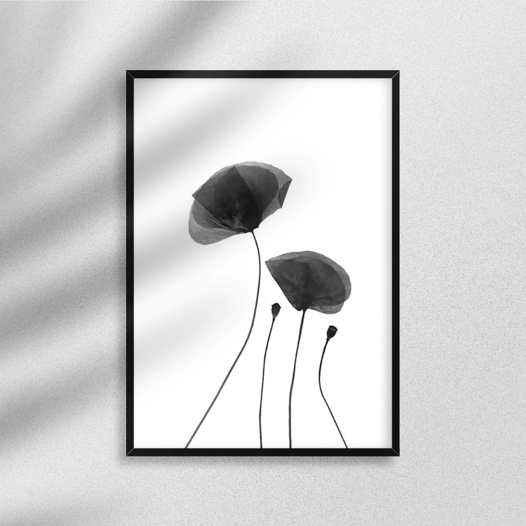 B&W Posters Box (61) BW Posters Box 61 | The Luxury Box
