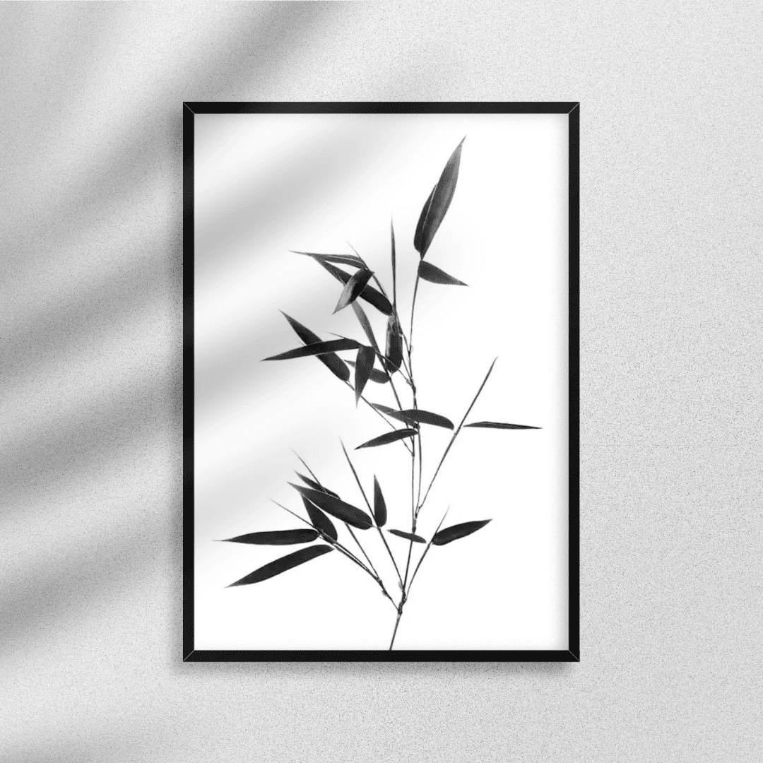 B&W Posters Box (74) BW Posters Box 74 | The Luxury Box