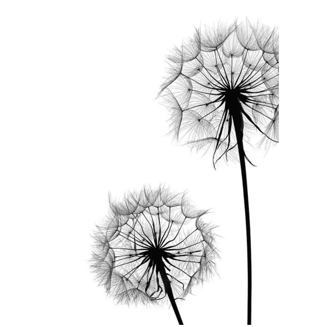 B&W Posters Box (78) BW Posters Box 78 | The Luxury Box