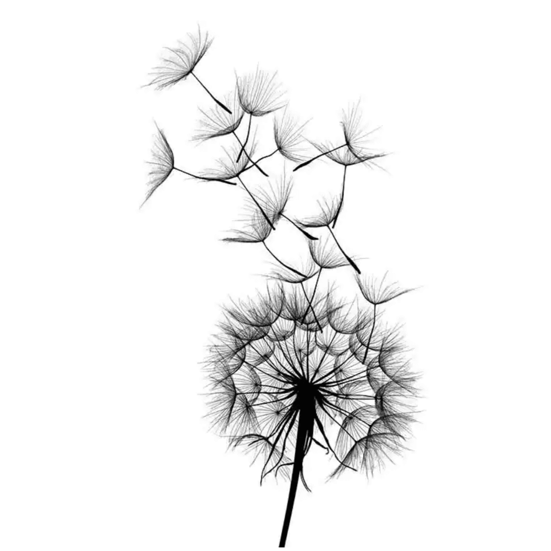 B&W Posters Box (79) BW Posters Box 79 | The Luxury Box