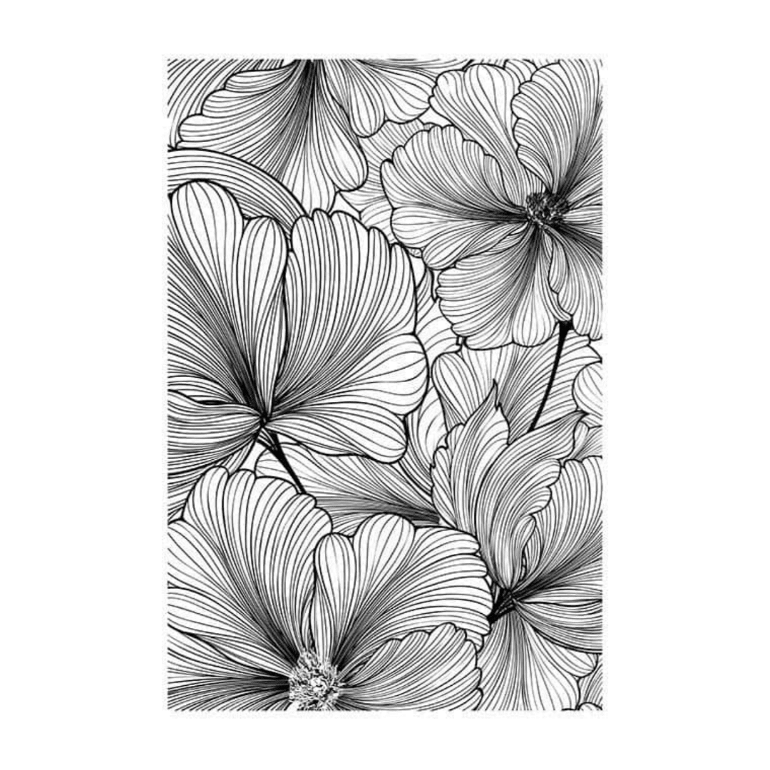 B&W Posters Box (80) BW Posters Box 80 | The Luxury Box