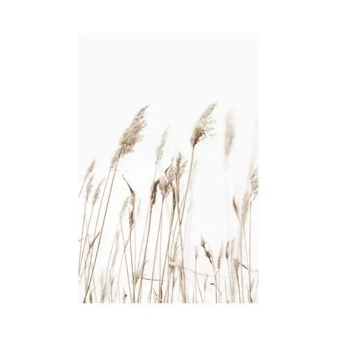 Botanique Posters Box (17) Botanique Posters Box 17 | The Luxury Box