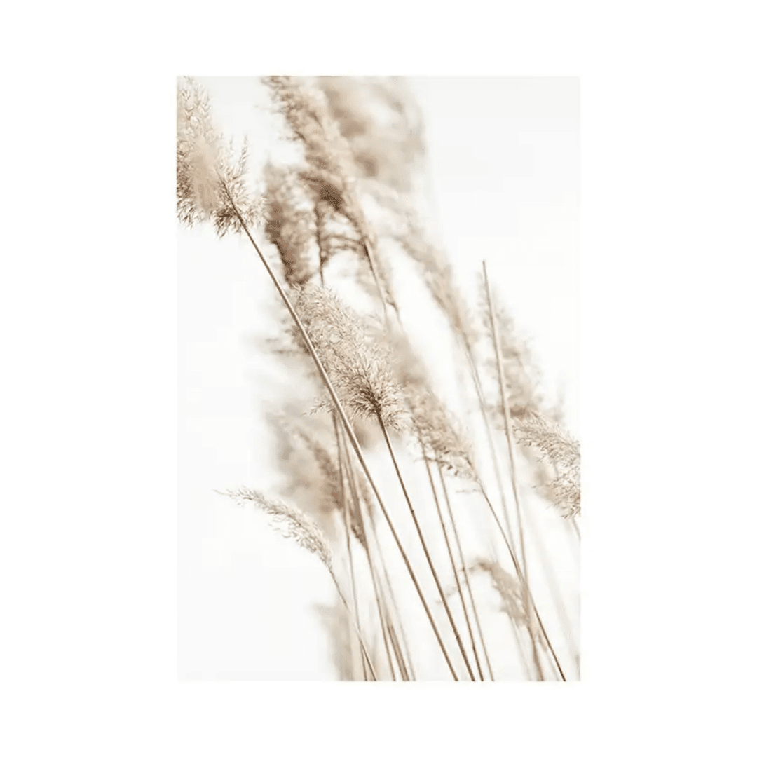 Botanique Posters Box (18) Botanique Posters Box 18 | The Luxury Box