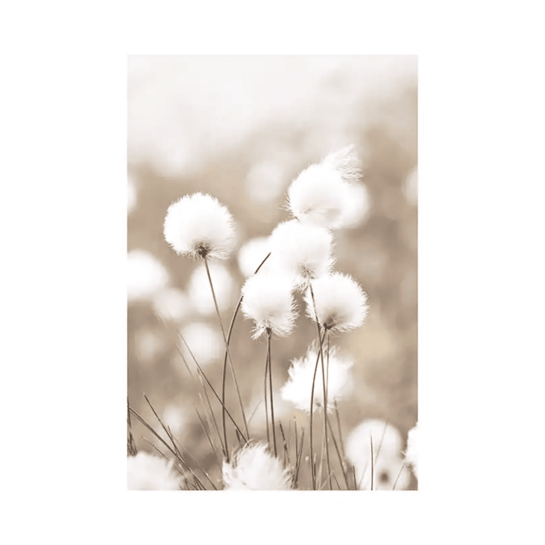 Botanique Posters Box (23) Botanique Posters Box 23 | The Luxury Box