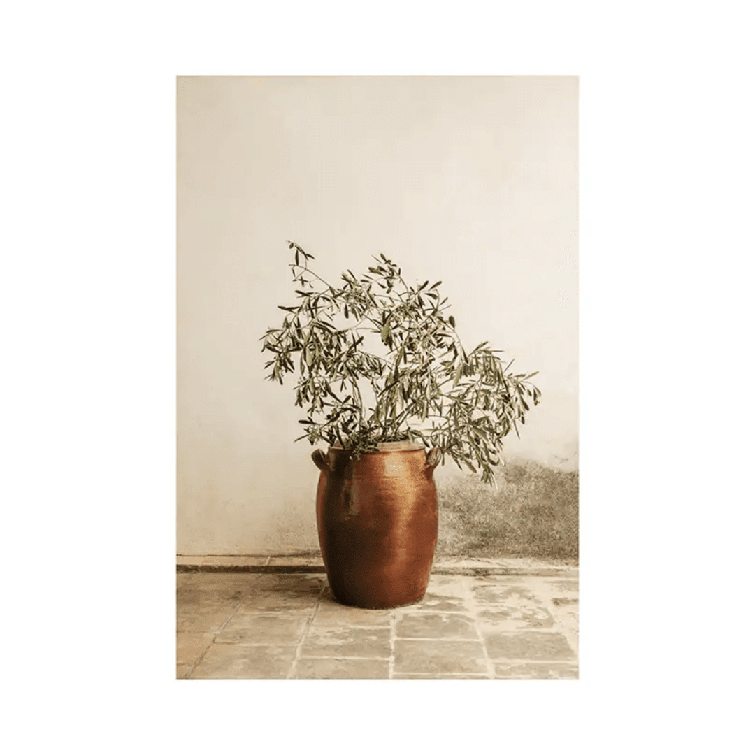 Botanique Posters Box (24) Botanique Posters Box 24 | The Luxury Box