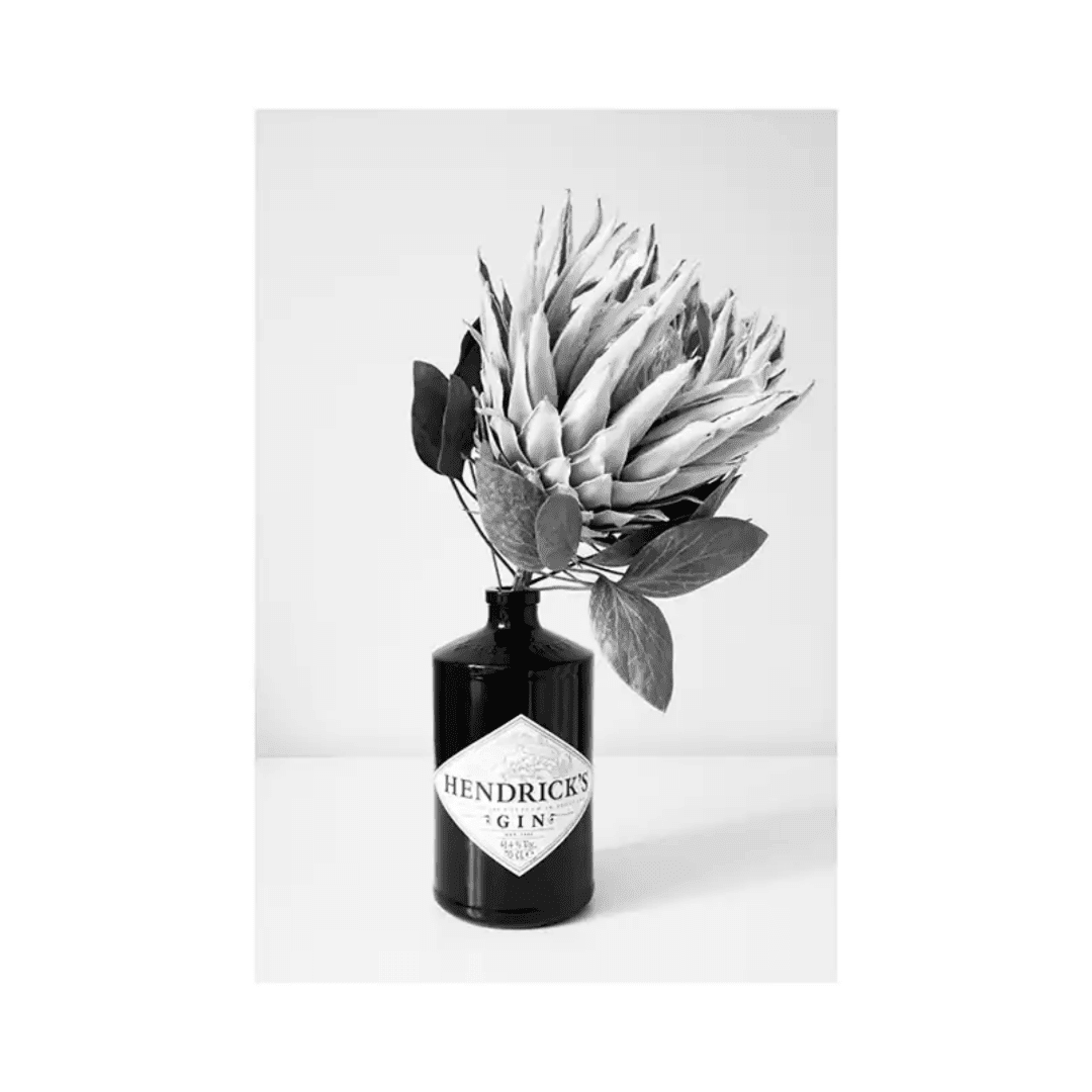 Botanique Posters Box (29) Botanique Posters Box 29 | The Luxury Box