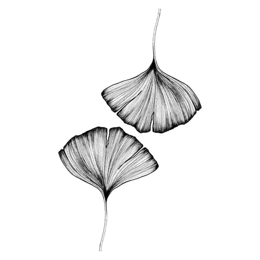 Botanique Posters Box (31) Botanique Posters Box 31 | The Luxury Box