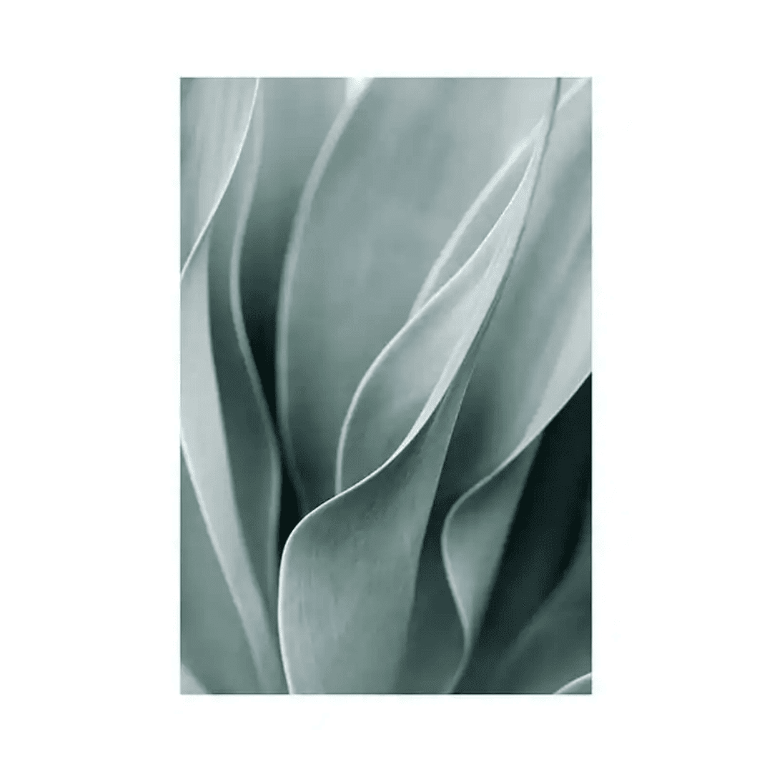 Botanique Posters Box (6) Botanique Posters Box 6 | The Luxury Box