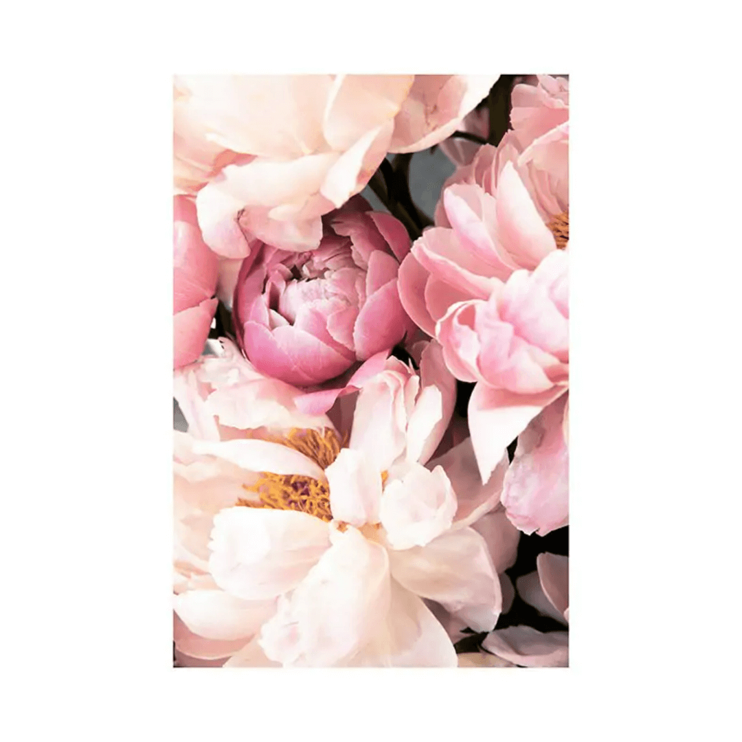 Botanique Posters Box (9) Botanique Posters Box 9 | The Luxury Box