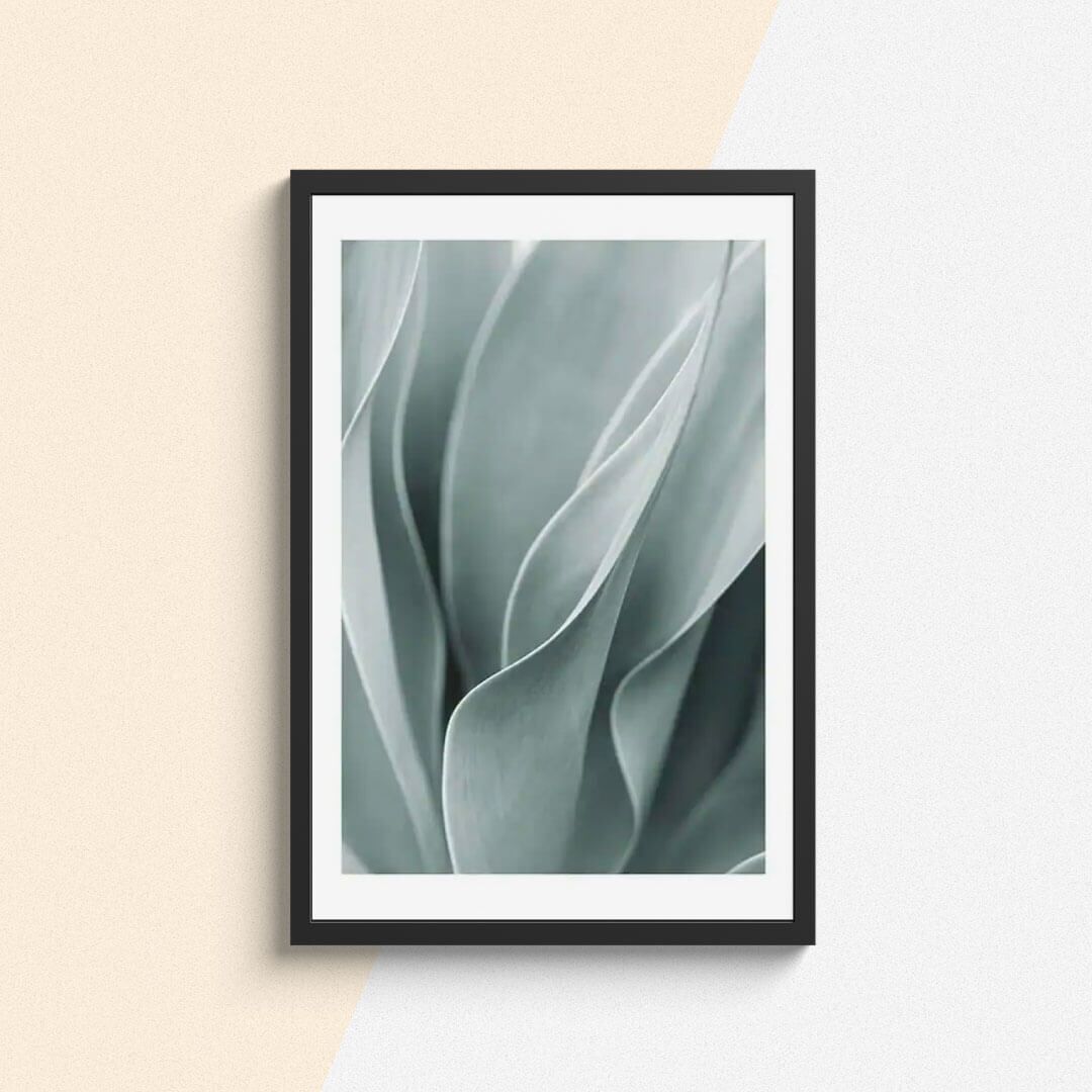 Botanique Posters Box I (10) Botanique Posters Box I 10 | The Luxury Box