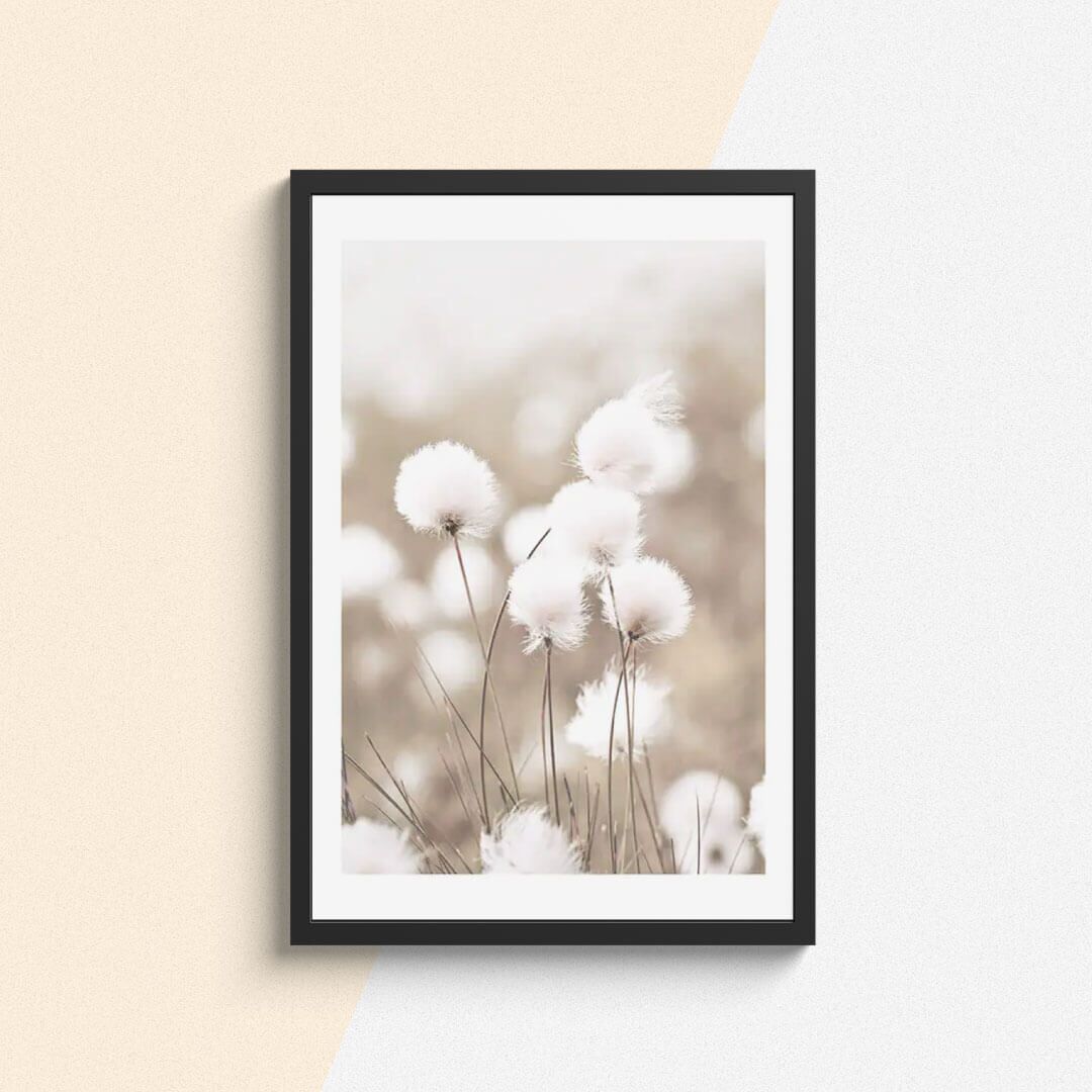 Botanique Posters Box I (12) Botanique Posters Box I 12 | The Luxury Box