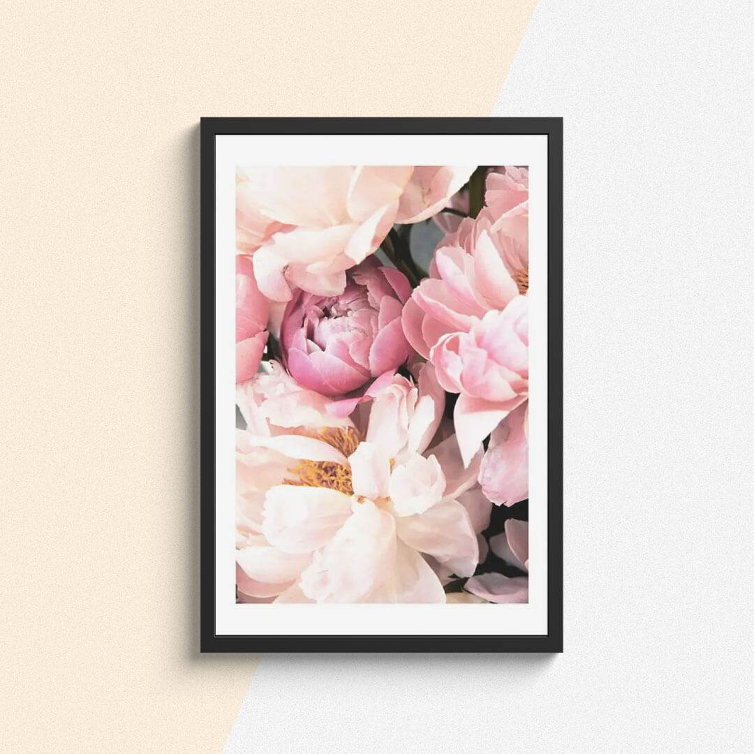 Botanique Posters Box I (14) Botanique Posters Box I 14 | The Luxury Box