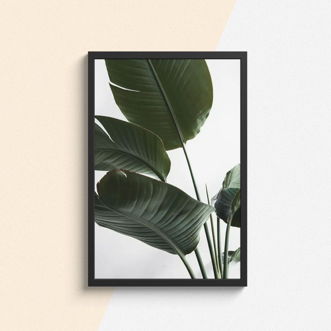 Botanique Posters Box I (20) Botanique Posters Box I 20 | The Luxury Box