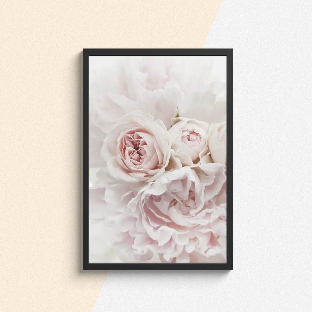 Botanique Posters Box I (27) Botanique Posters Box I 27 | The Luxury Box