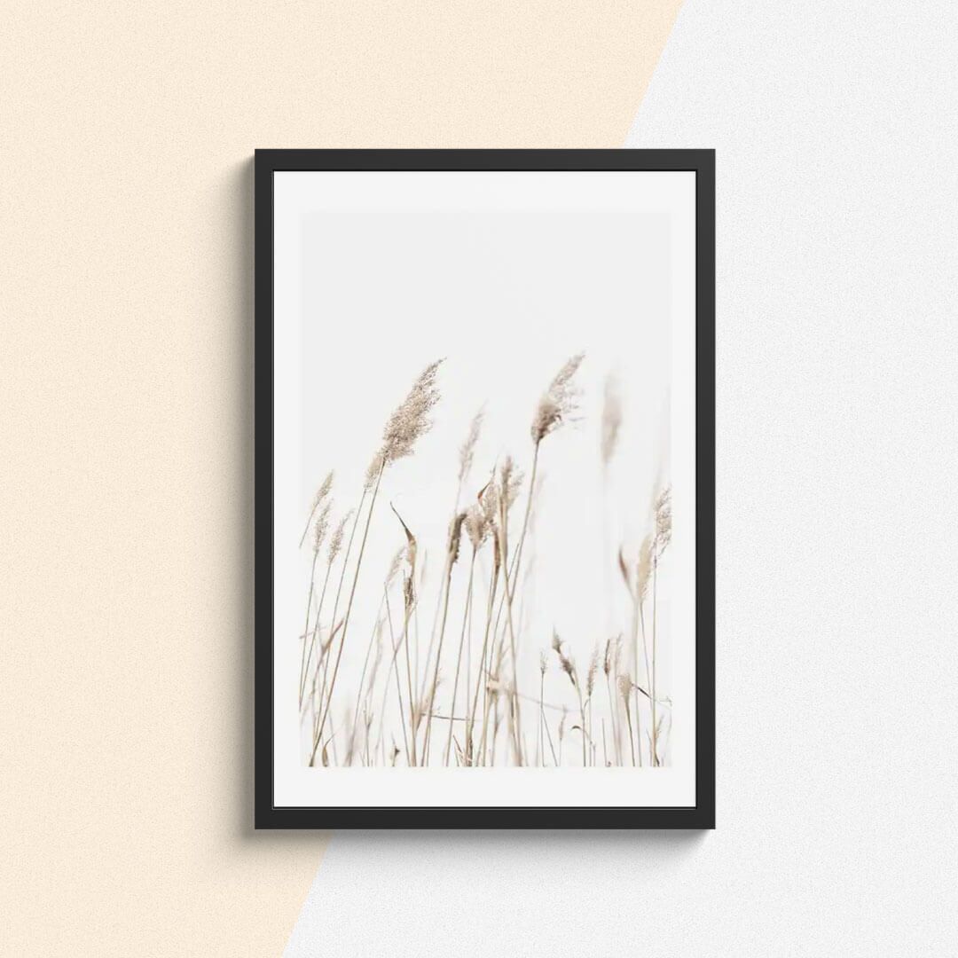 Botanique Posters Box I (5) Botanique Posters Box I 5 | The Luxury Box