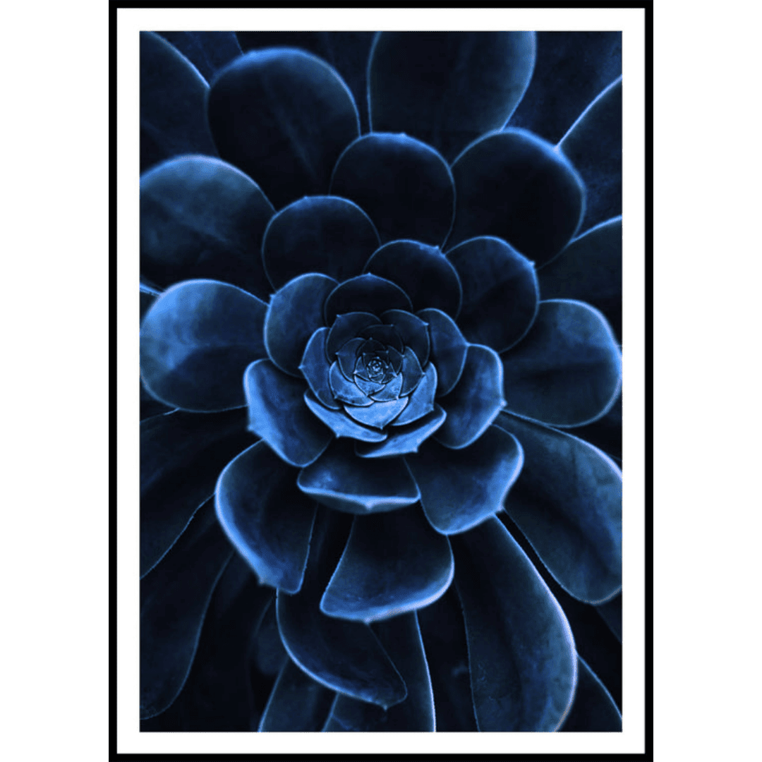 The Muslim Poster Box (6) The Muslim Poster Box 6 | The Luxury Box