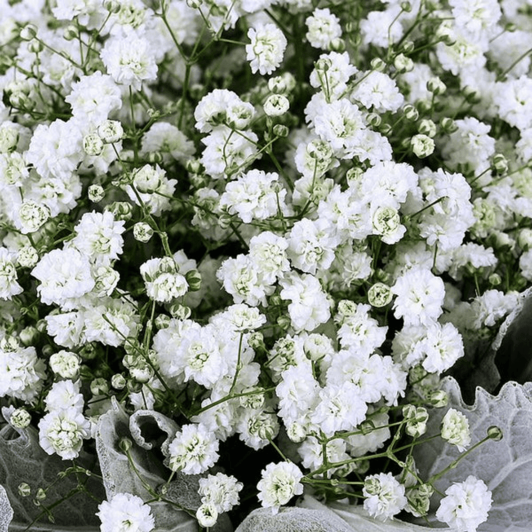 elena-balloon-flower-box-29197738705081_600x Bouquet de fleurs & ballon