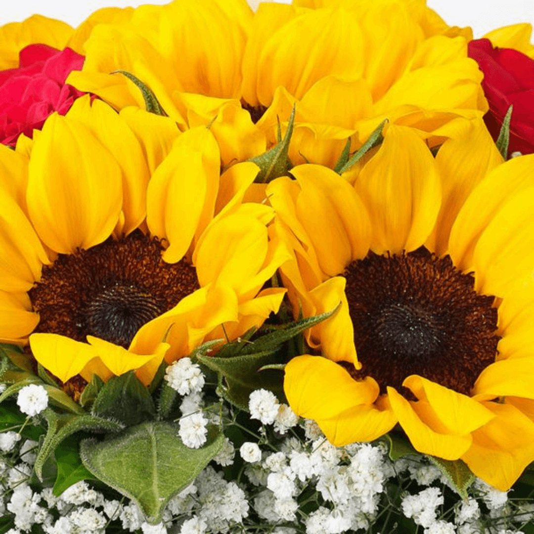 fortuna-balloon-flower-box-28255584878777_600x Bouquet de fleurs & ballon