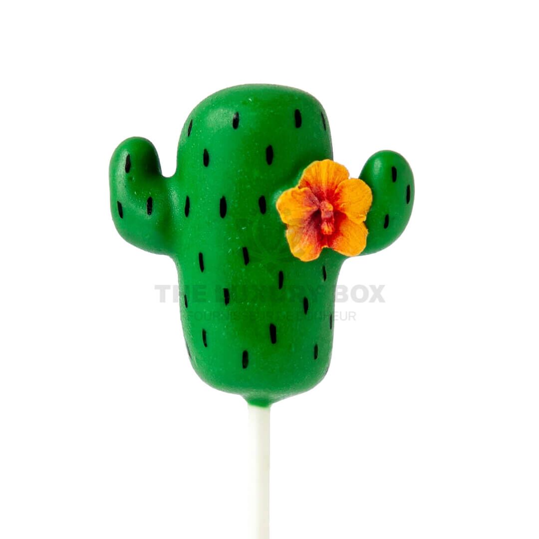 POPS_cutouts__0123_Cactus_1500x Coffret de PopCake