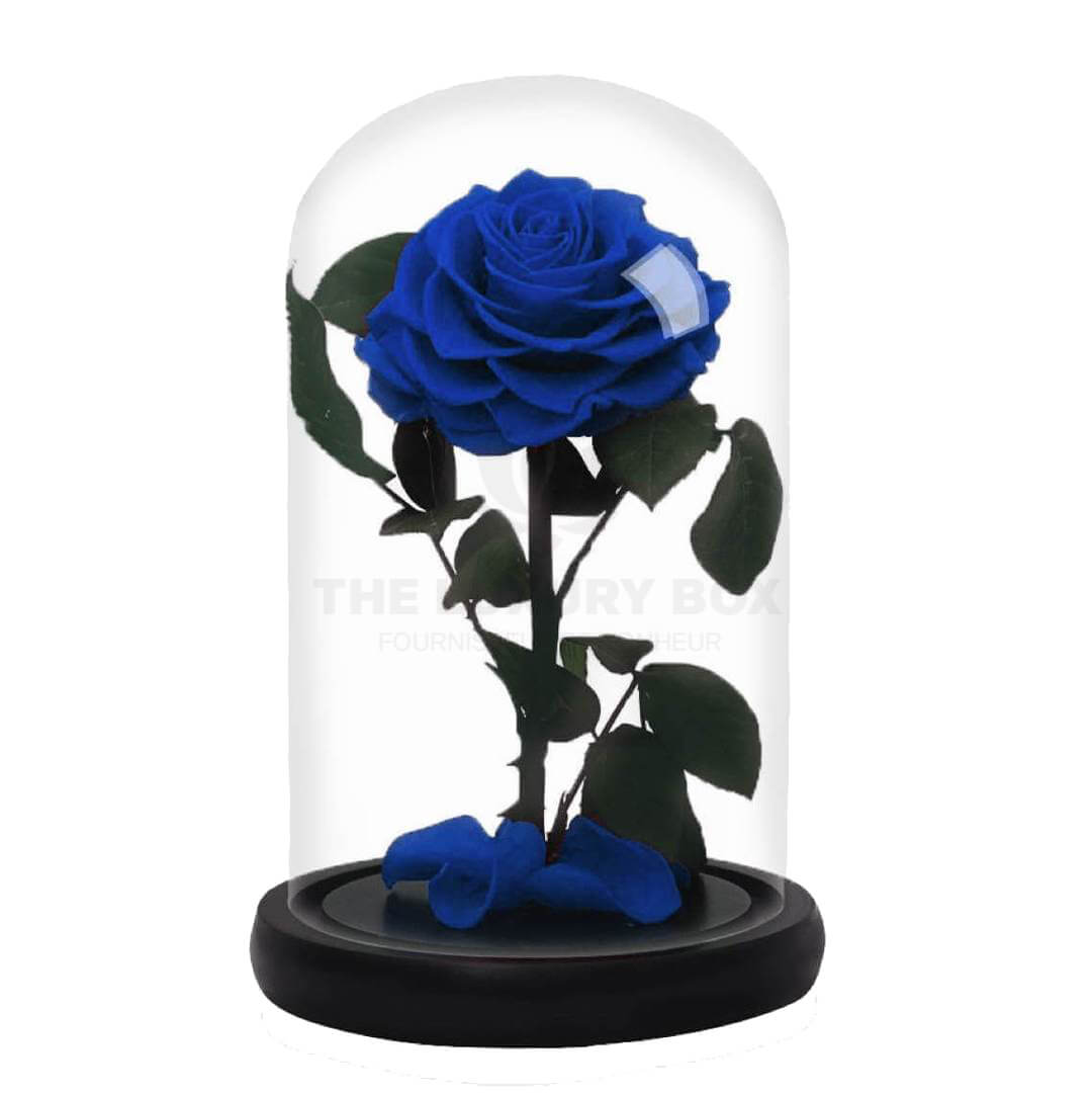 Rose sous cloche Bleu Rose sous cloche Bleu