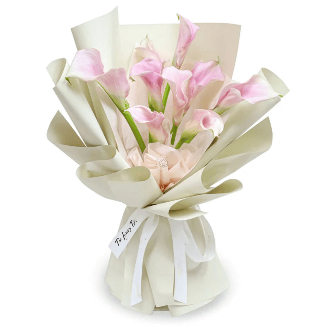 Bouquet de Tulipes Bouquet de Tulipes