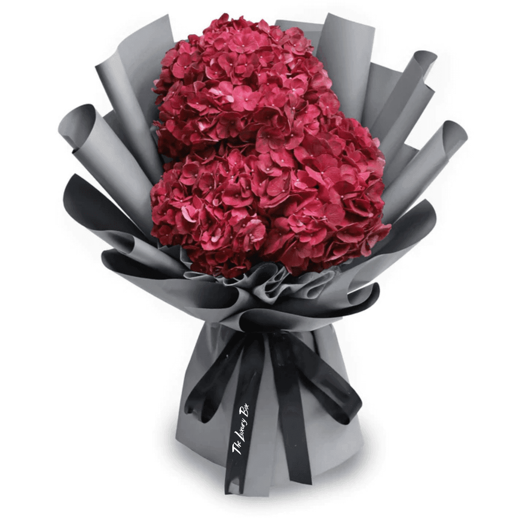 Bouquet de Hortensias Bouquet de Hortensias