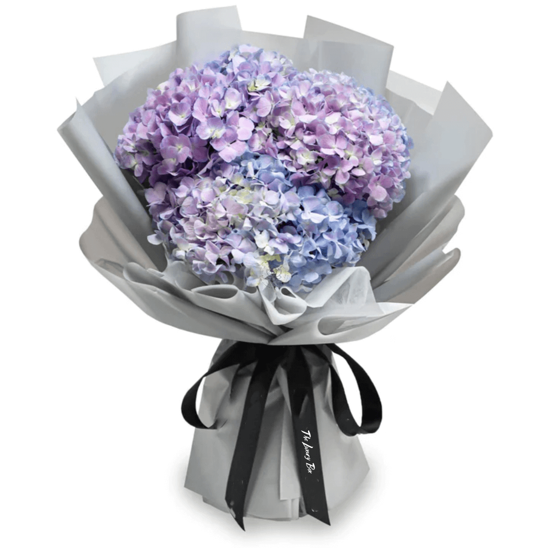 Fresh Flower Bouquet - Gradient Purple Hydrangea (M) Fresh Flower Bouquet Gradient Purple Hydrangea M | The Luxury Box