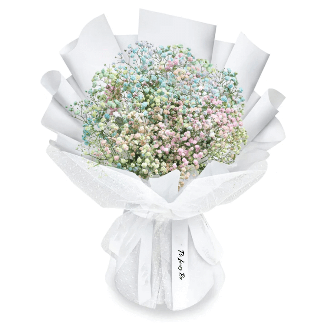 Bouquet de Gypsophiles Bouquet de Gypsophiles