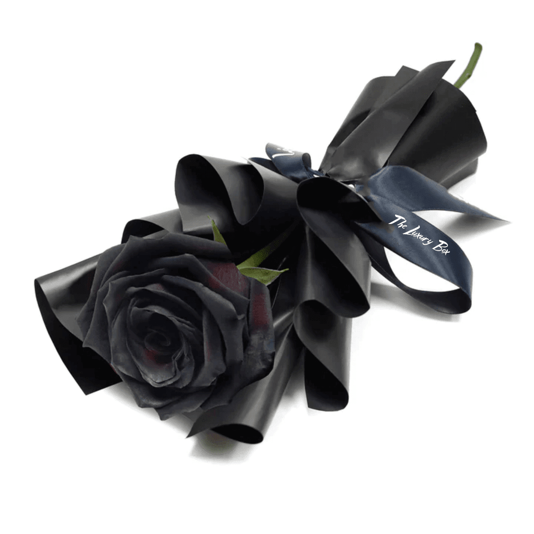 Fresh Flower Bouquet - Single Wine Black Rose Bouquet de Rose