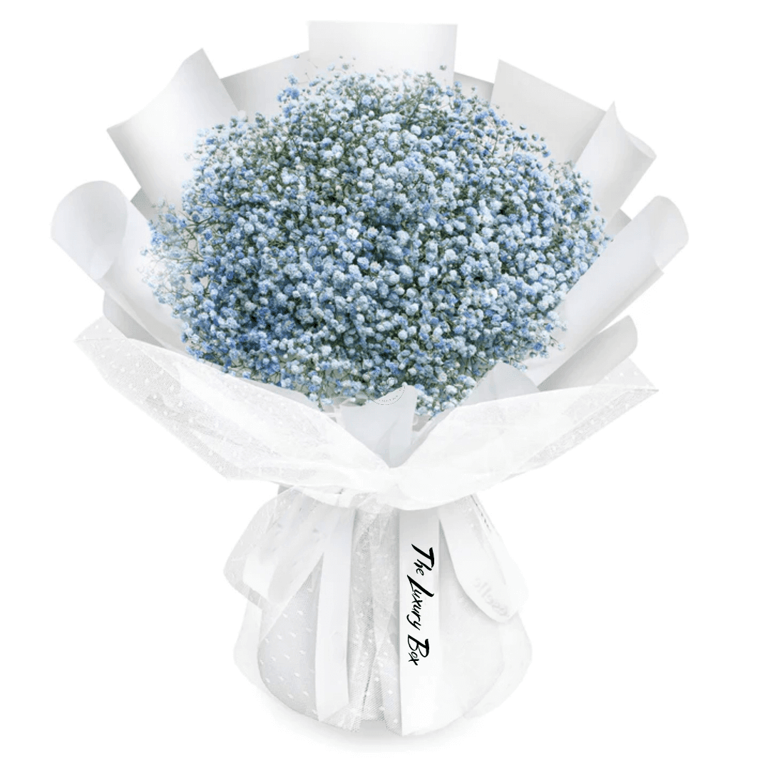 Fresh Flower Bouquet - Sky Blue Baby's Breath (L) Bouquet de Gypsophiles