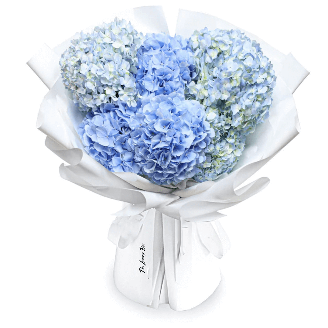 Bouquet de Hortensias Bouquet de Hortensias