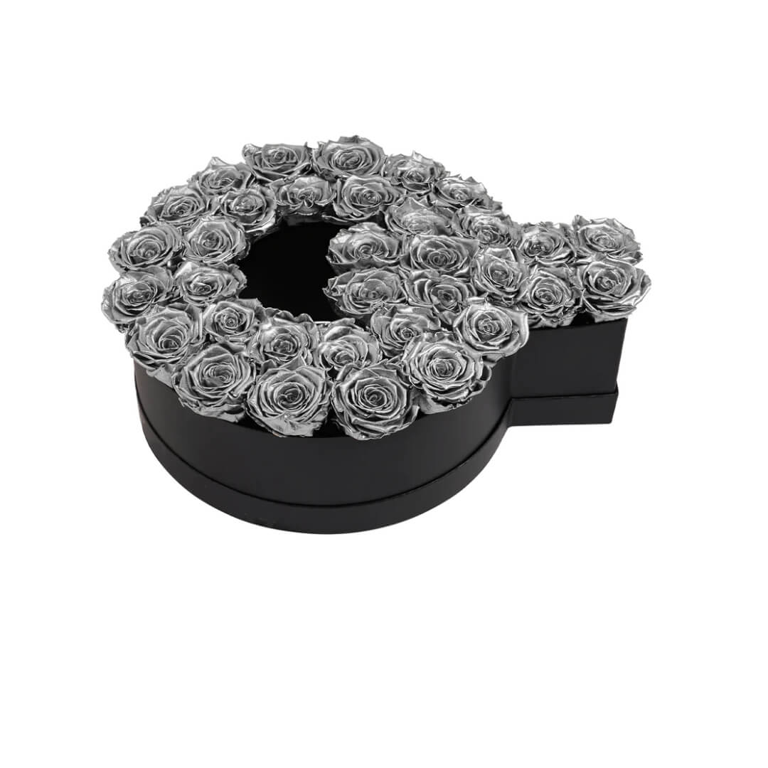 Q_sliver Q sliver | The Luxury Box