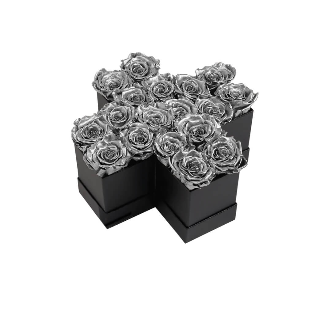 sliver_973754bb-d1ce-4e47-bd6c-8feb8c7cc7d6 Lettre de Roses Silver