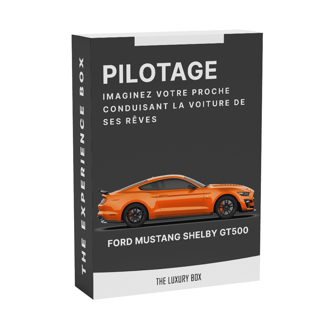 FORD-MUSTANG-SHELBY-GT500 FORD MUSTANG SHELBY GT500 | The Luxury Box