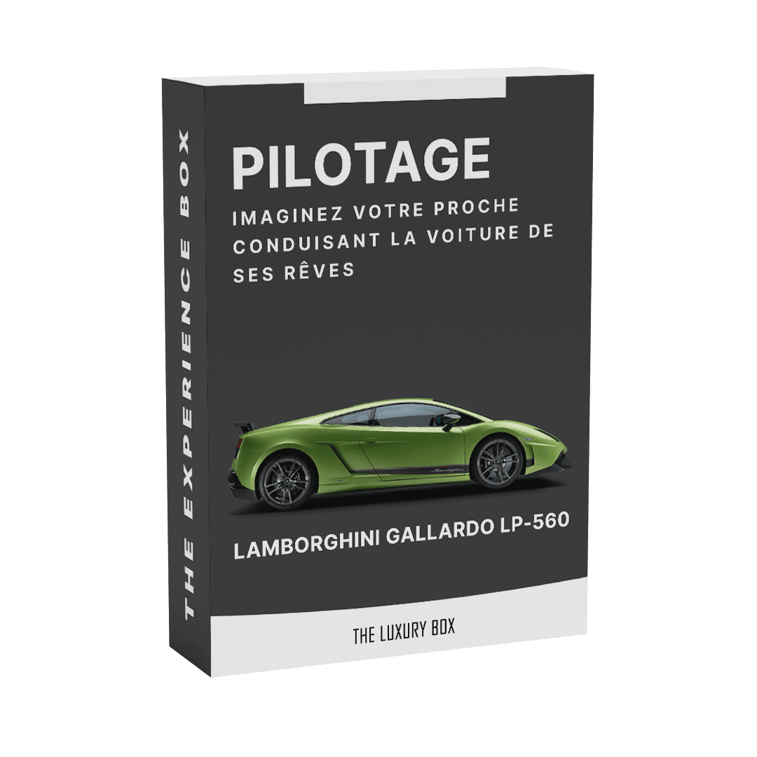 LAMBORGHINI-GALLARDO-LP-560 LAMBORGHINI GALLARDO LP 560 | The Luxury Box
