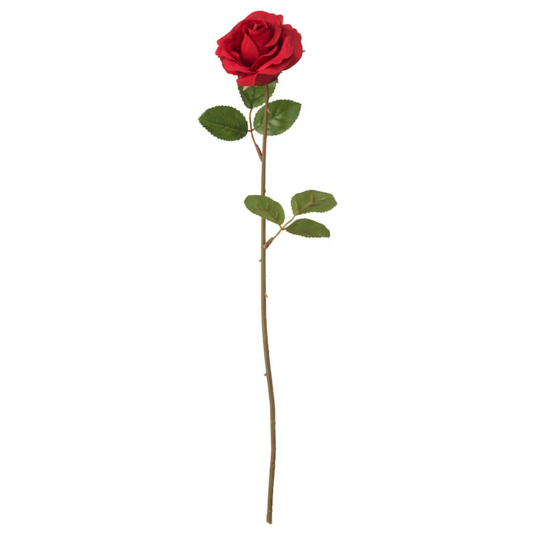Rose Immortelle par The Luxury Box (2) Rose Immortelle par The Luxury Box 2 | The Luxury Box